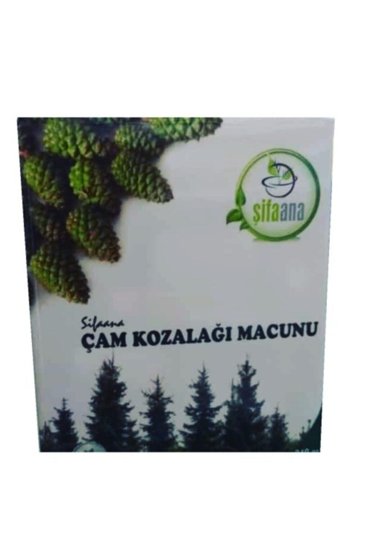 Şifaana Çam Kozalağı Macunu