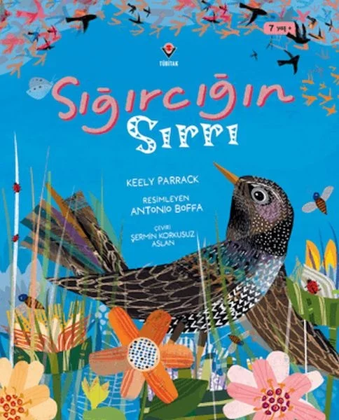 Sığırcığın Sırrı Fiyatı, Yorumları ve Özellikleri
