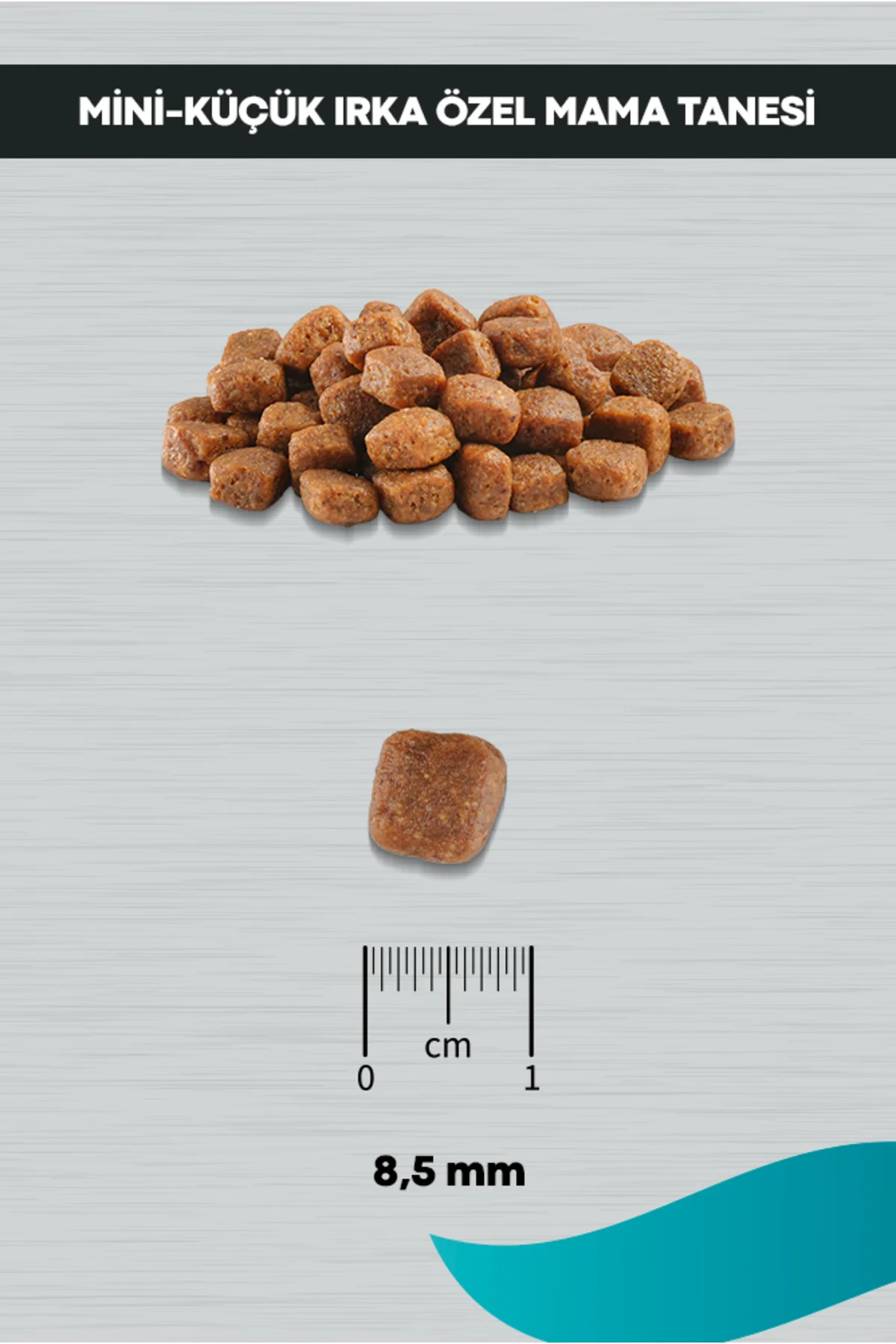 Signature Kuzulu Küçük Irk Yavru Köpek Maması 3 Kg