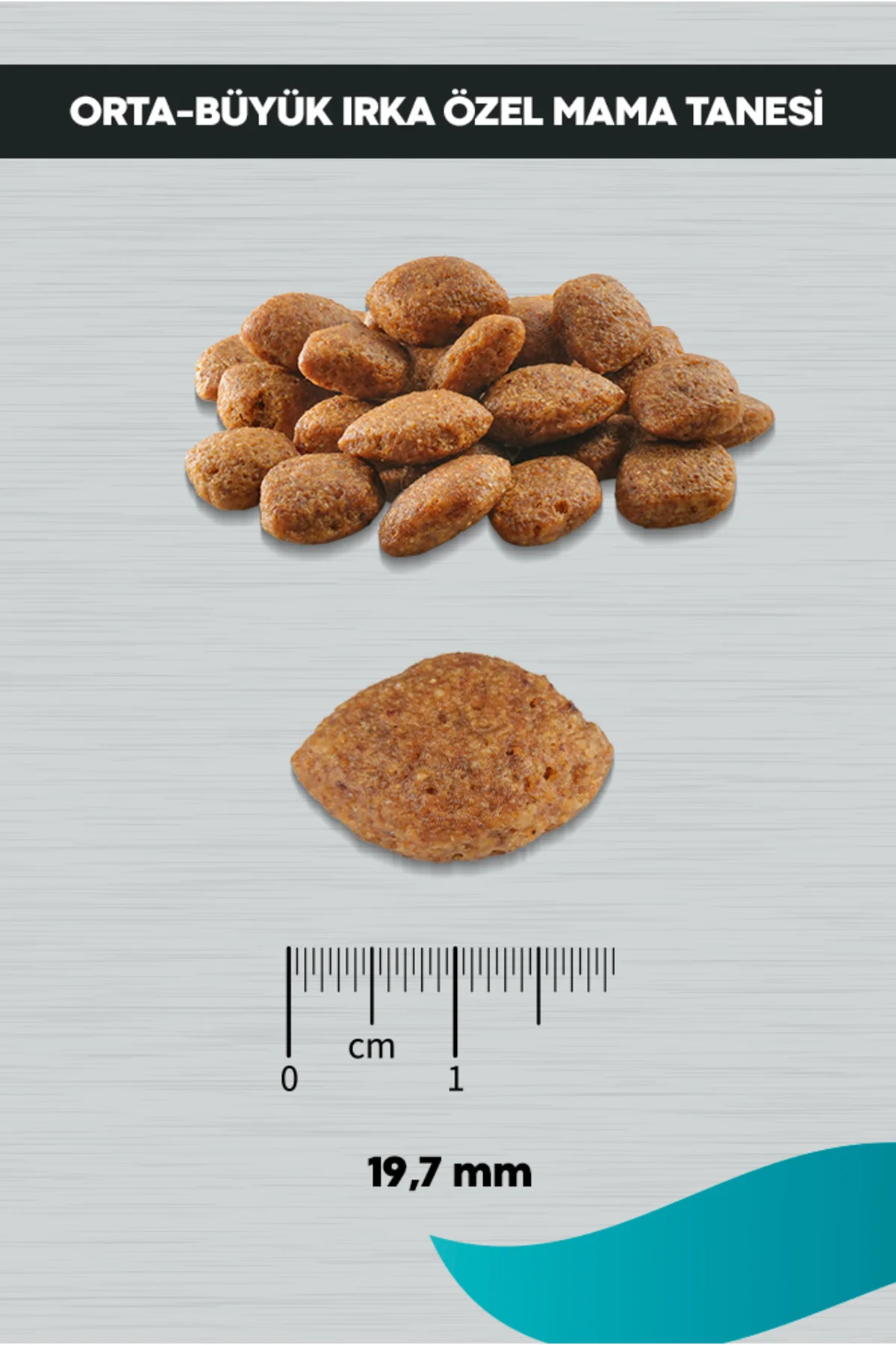Signature Kuzulu Orta ve Büyük Irk Yetişkin Köpek Maması 3KG