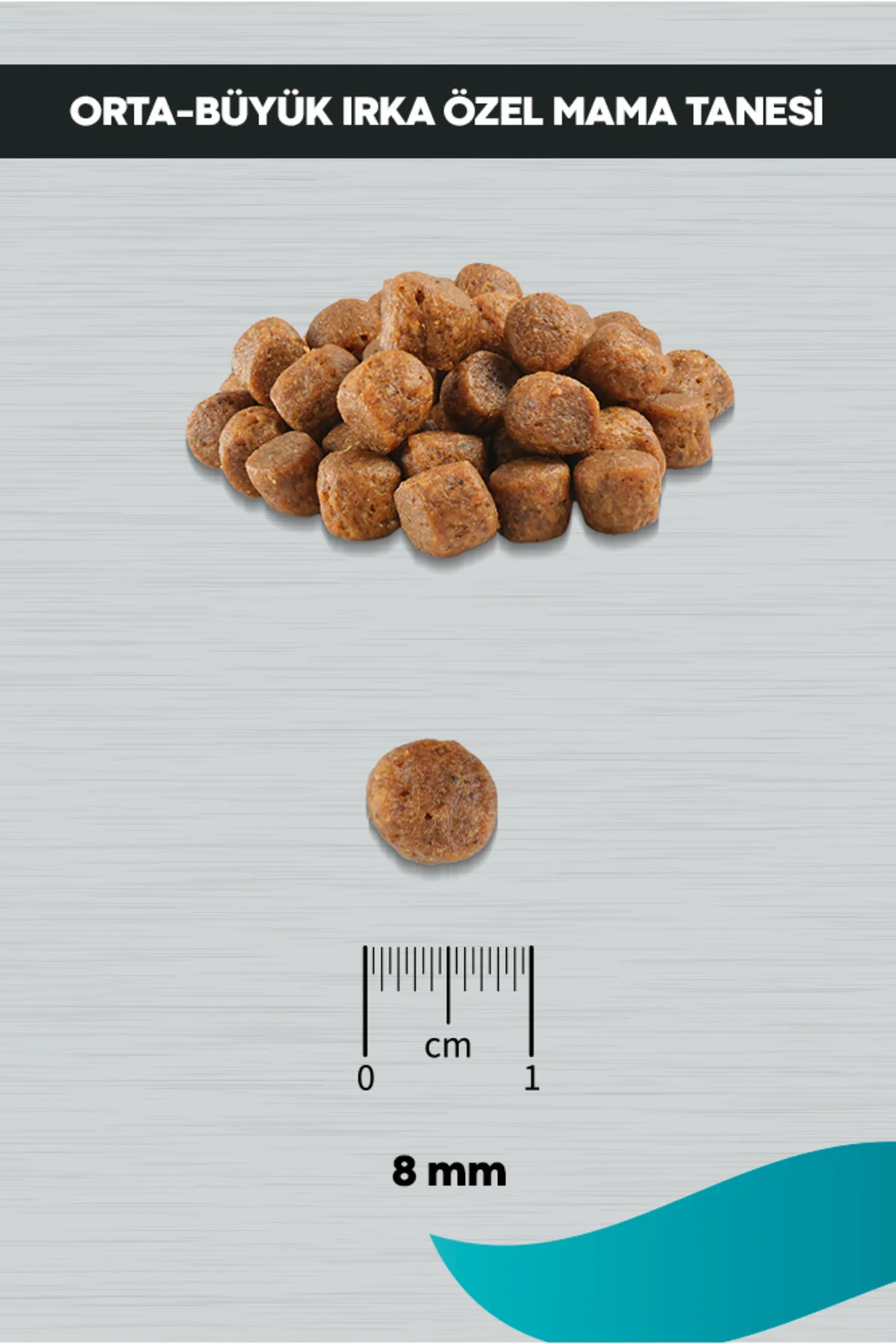 Signature Kuzulu Orta ve Büyük Irk Yavru Köpek Maması 3 Kg