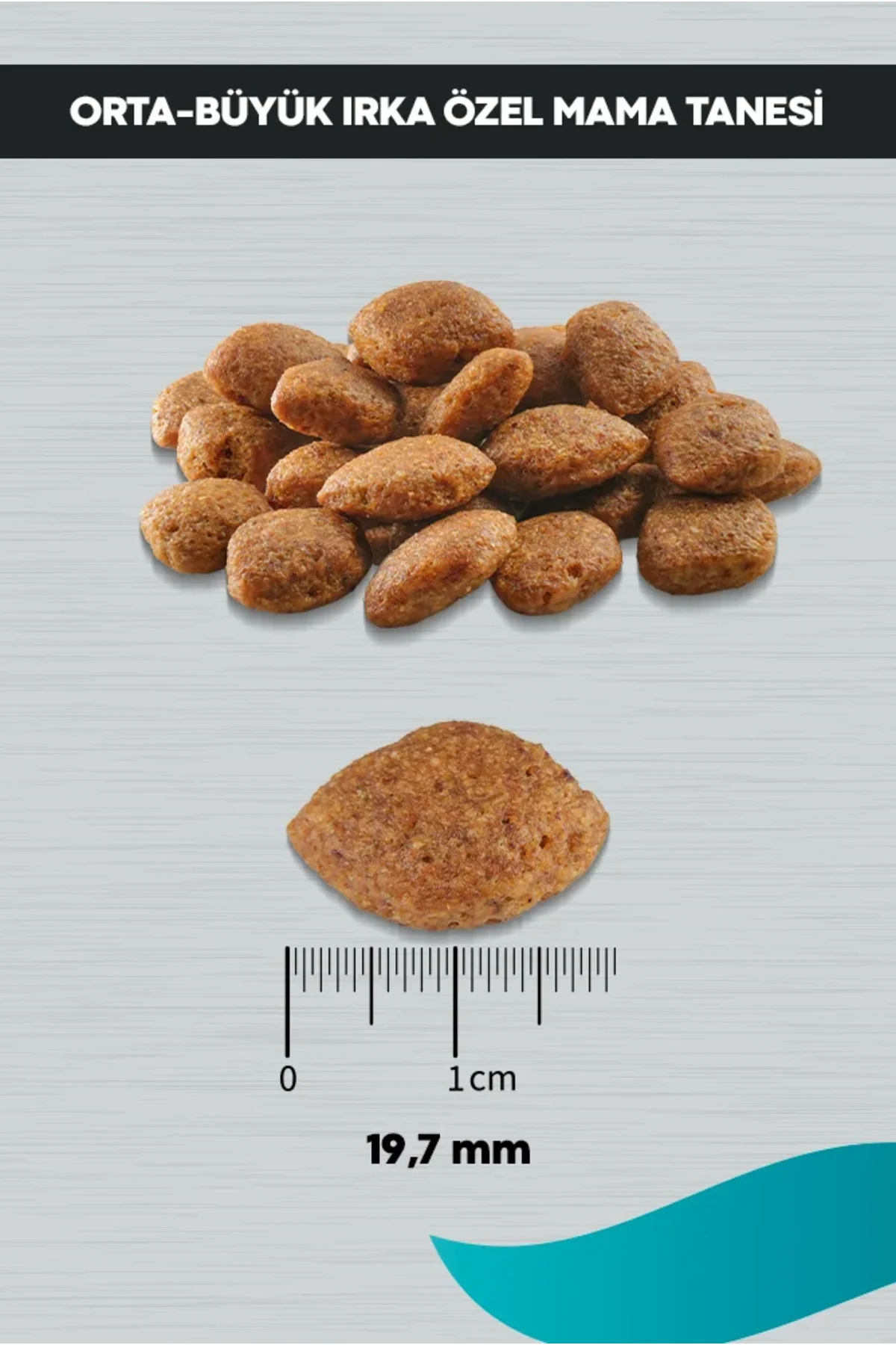 Signature Kuzulu Yetişkin Köpek Orta ve Büyük Irk - 3 kg