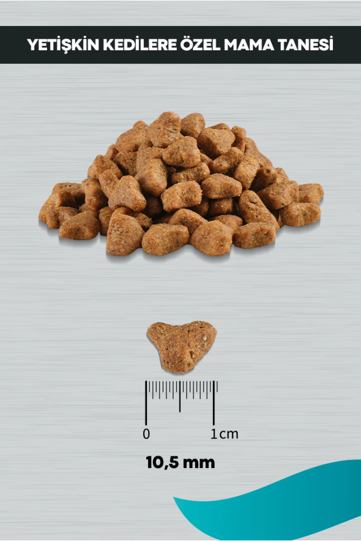 Signature Somonlu Kısırlaştırılmış Kedi 10 kg