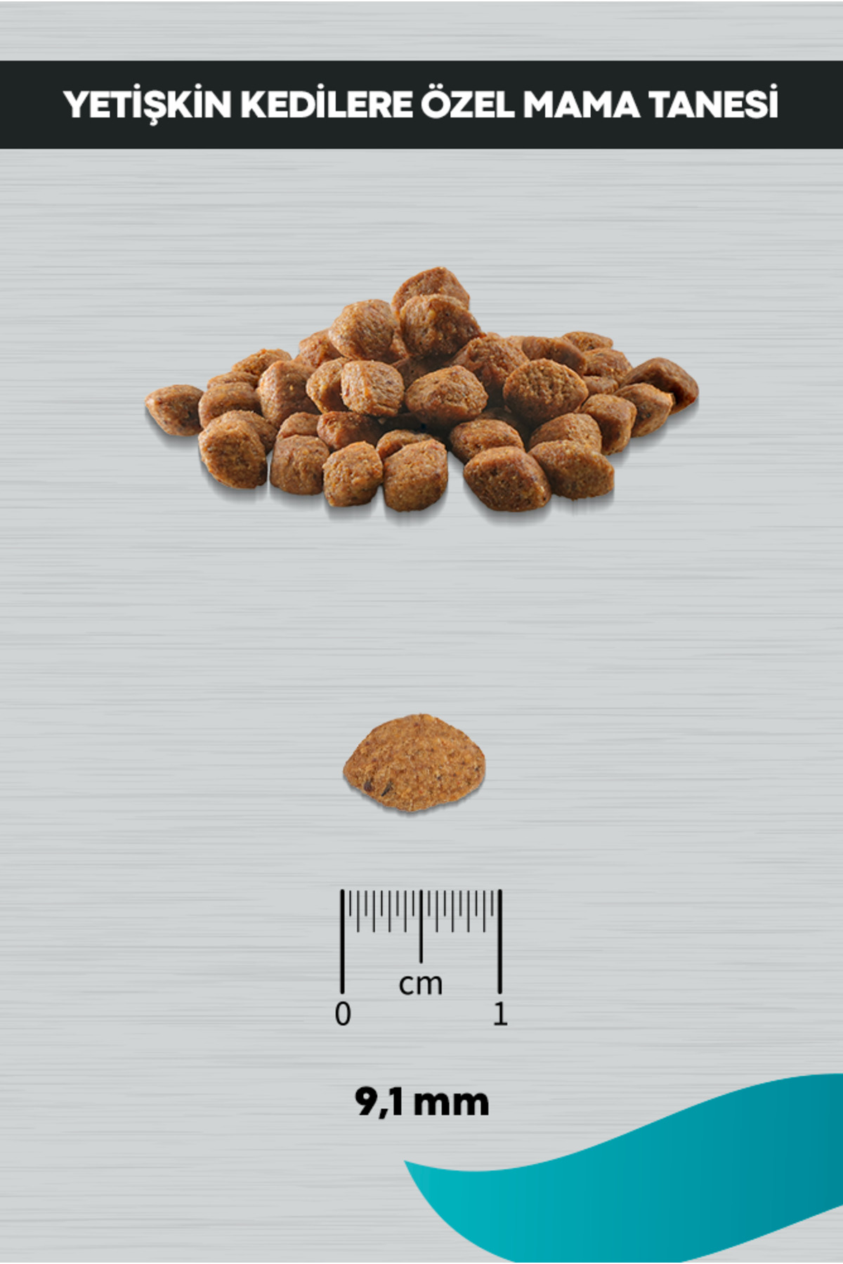Signature Somonlu Yetişkin Kedi-Tüy Yum. Önl. 10 kg