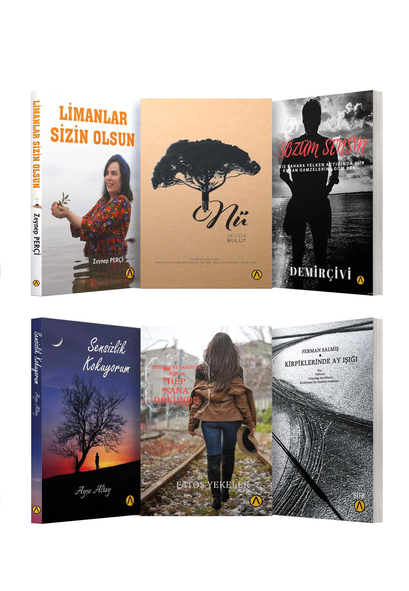 Şiir Seti (6 Kitap) Şiir Seti (6 Kitap)