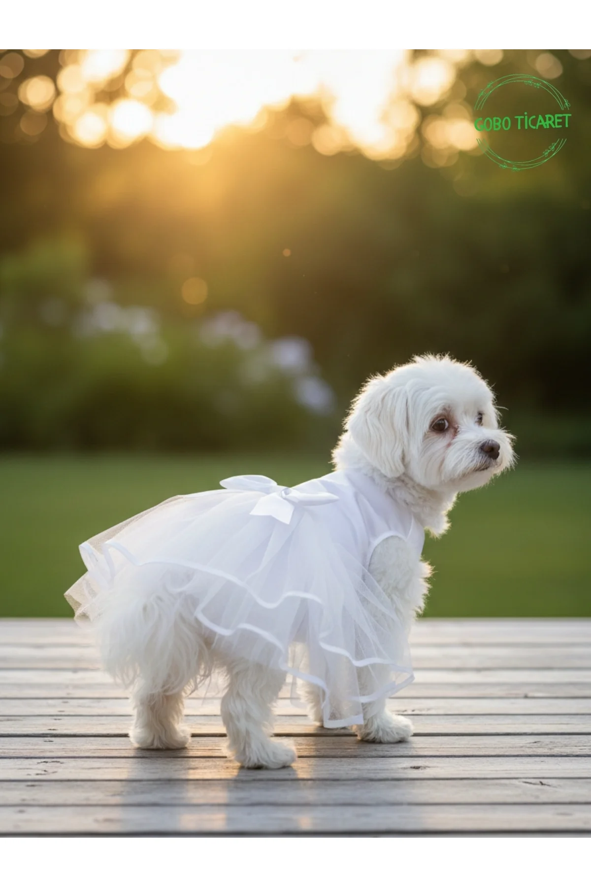 Şık Tasarım Gelinlik & Doğum Günü Abiyesi Kedi Köpek Parti Kıyafeti Elbisesi