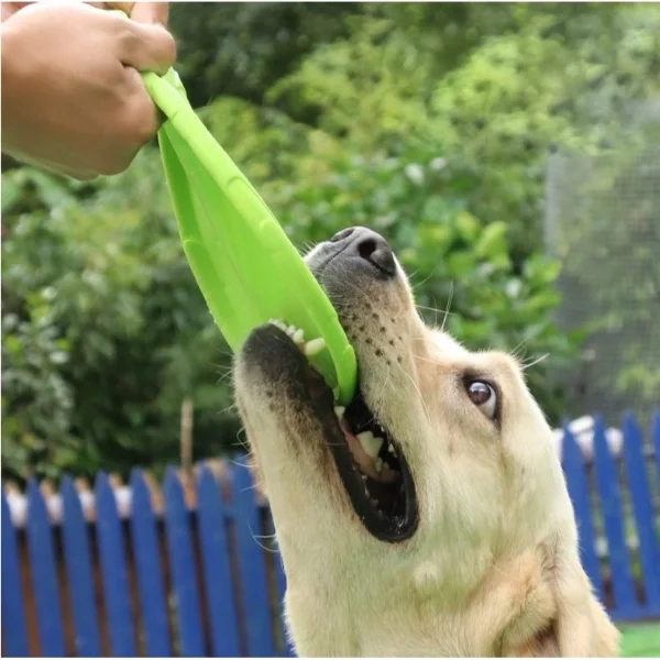 Silikon Frizbi Köpek Oyuncağı Fiyatı, Yorumları ve Özellikleri