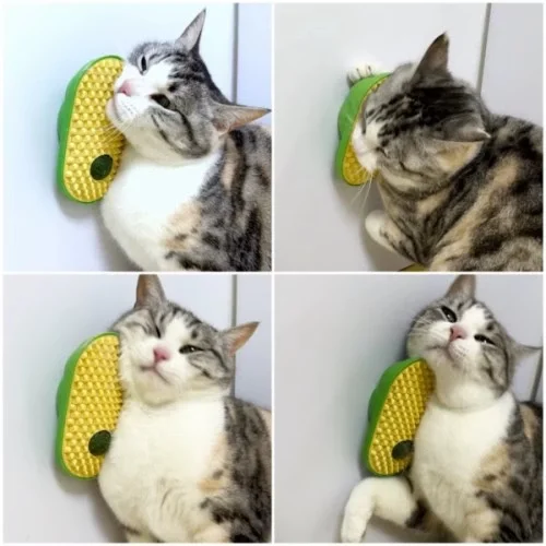 Silikon Kaşıyıcılı Kedi Otu Fiyatı, Yorumları ve Özellikleri