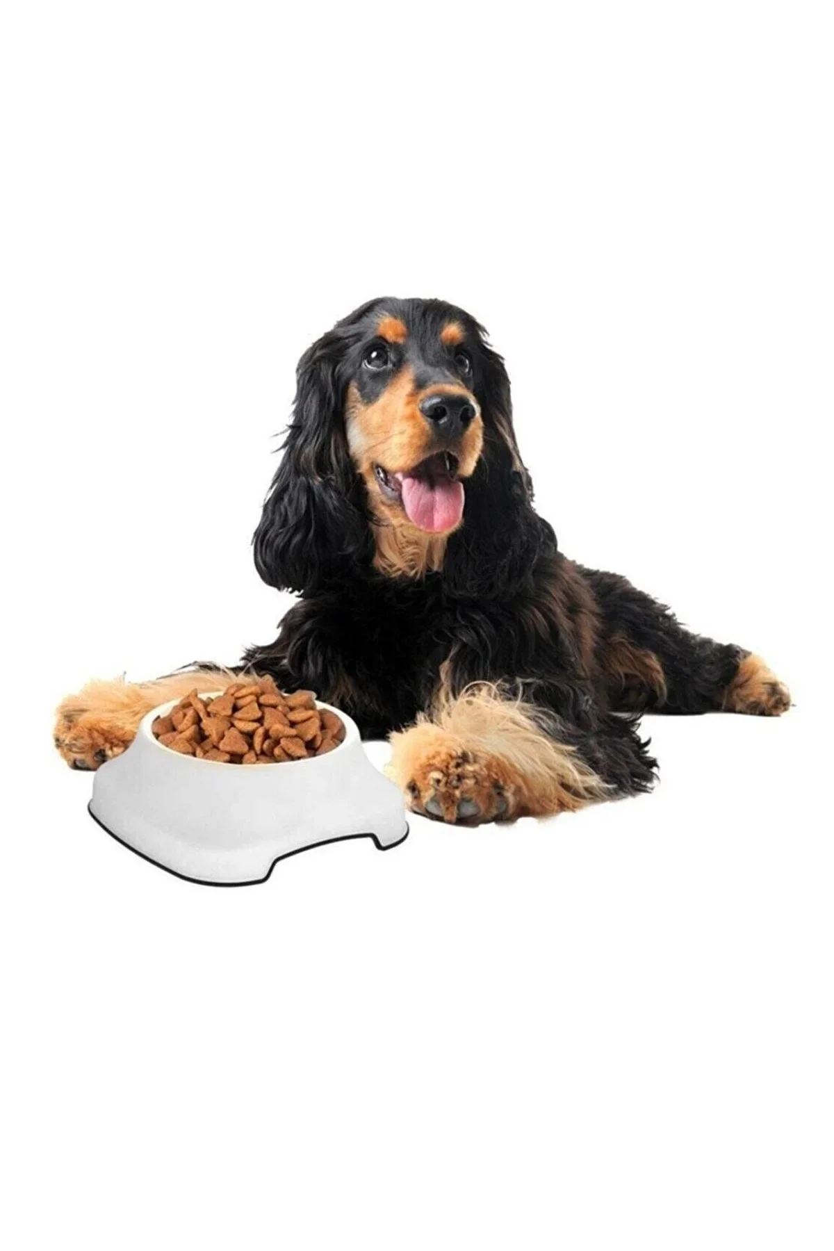 Silikon Kaydırmaz Taban Plastik Kedi ve Köpek Mama ve Su Kabı 2 L Silikon Kaydırmaz Taban Plastik Kedi ve Köpek Mama ve Su Kabı 2 L
