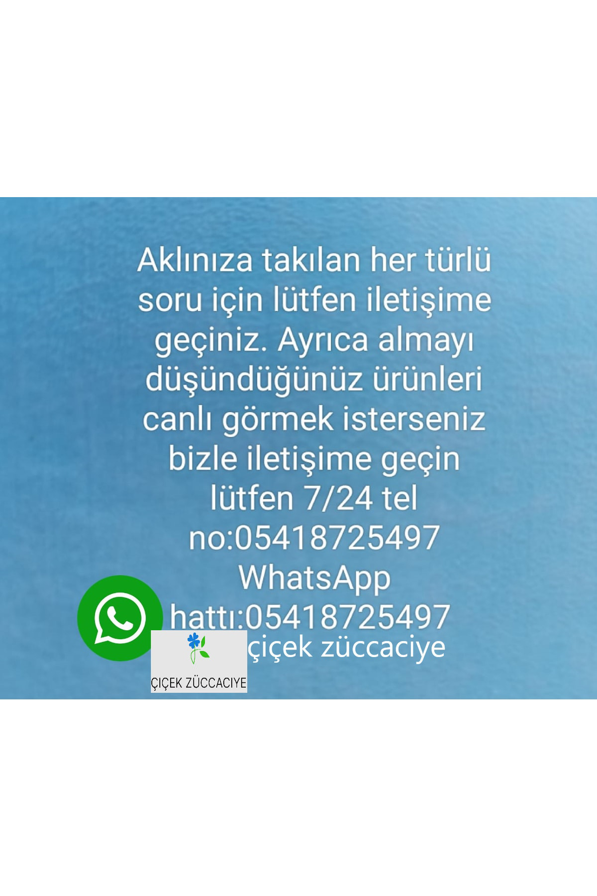 Silikon Mini Muffin Kek Kalıbı 12 Li