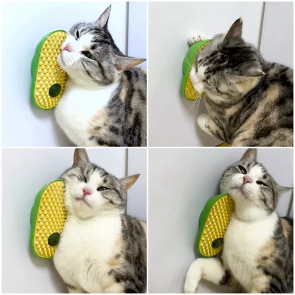 Silikon Uçlu Kedi Otu Kaşıyıcısı