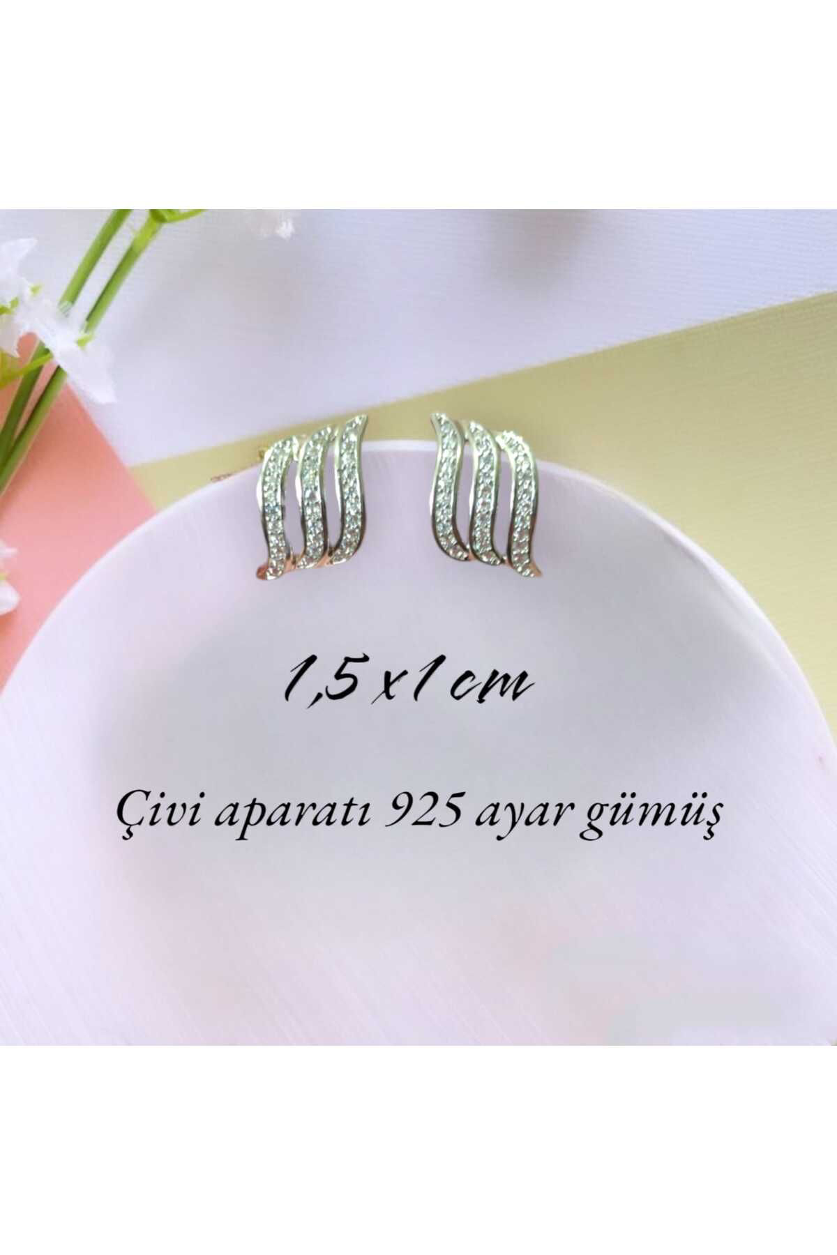 Dodemert Home Silver 925 Ayar Gümüş Zirkon Taşli Küpe
