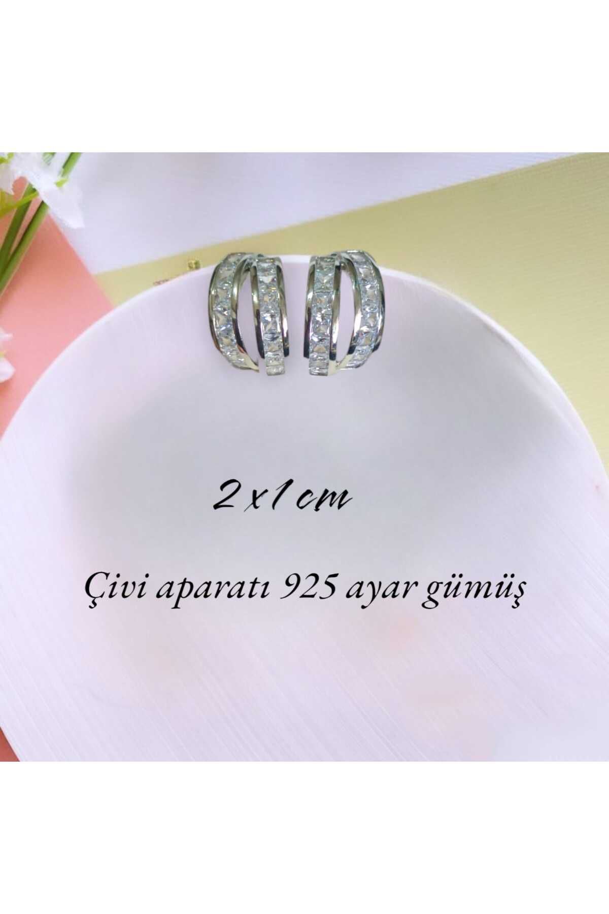 Dodemert Home Silver 925 Ayar Gümüş Zirkon Taşli Küpe