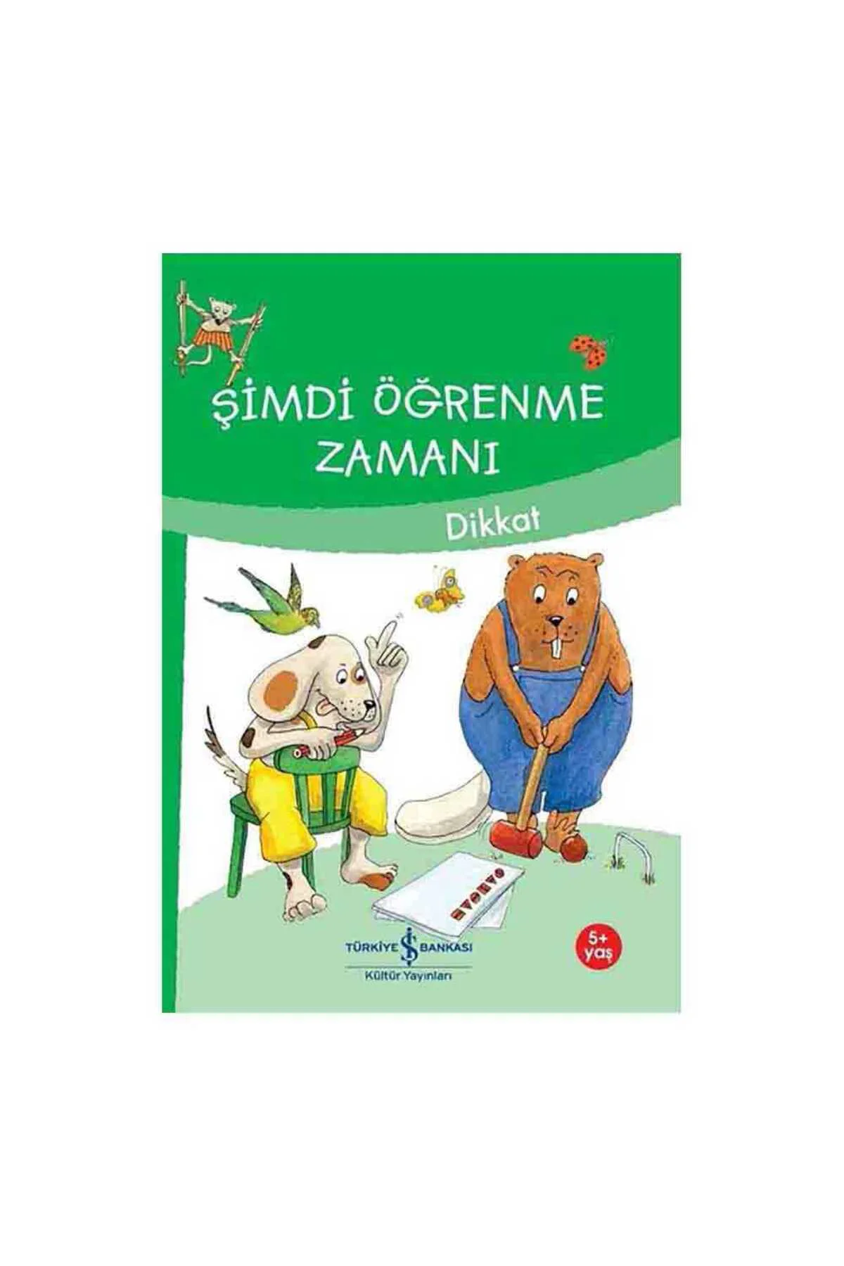 Şimdi Öğrenme Zamanı - Dikkat