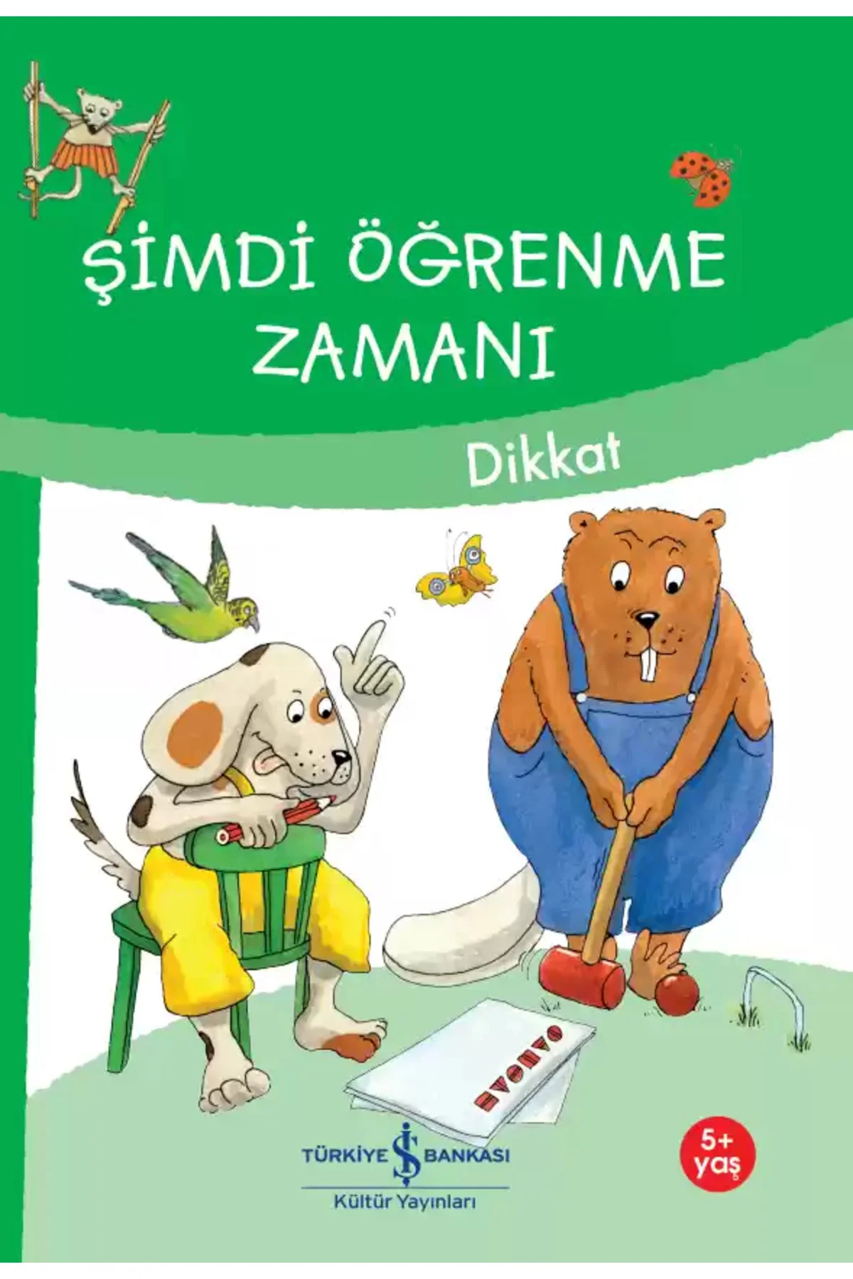 ŞİMDİ ÖĞRENME ZAMANI - DİKKAT
