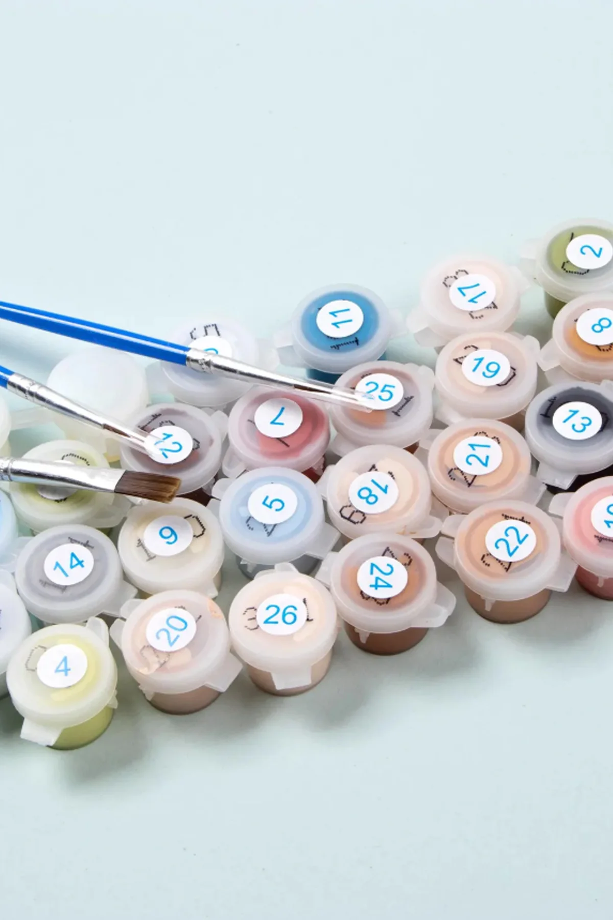 Simurg Kuşu Sayılarla Boyama Seti Çerçeveli Kasnaklı 40 x 50 cm