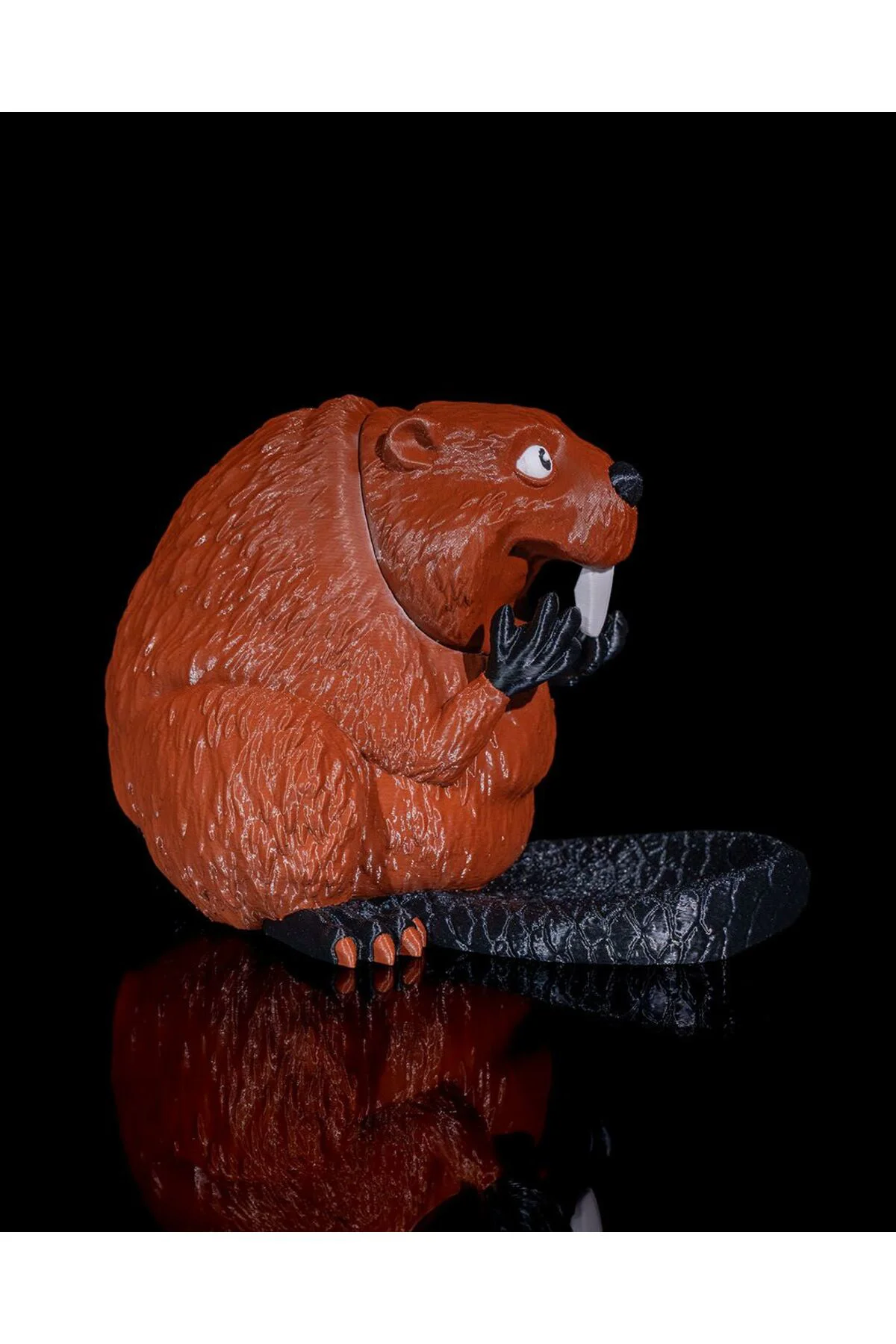 Sincap Kalem Açacağı Tutucu Sincap Kalemtraş Tutucu 12CM