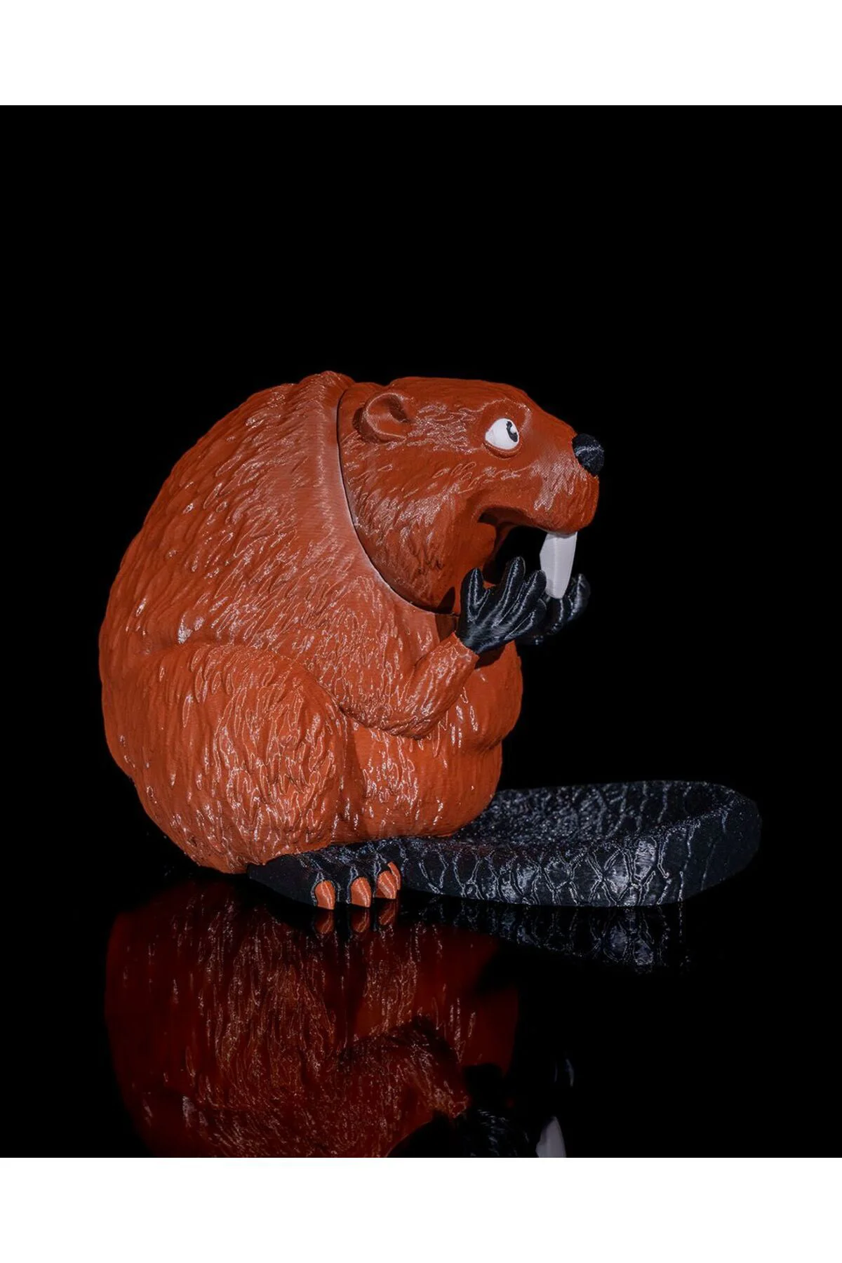 Sincap Kalem Açacağı Tutucu Sincap Kalemtraş Tutucu 12CM