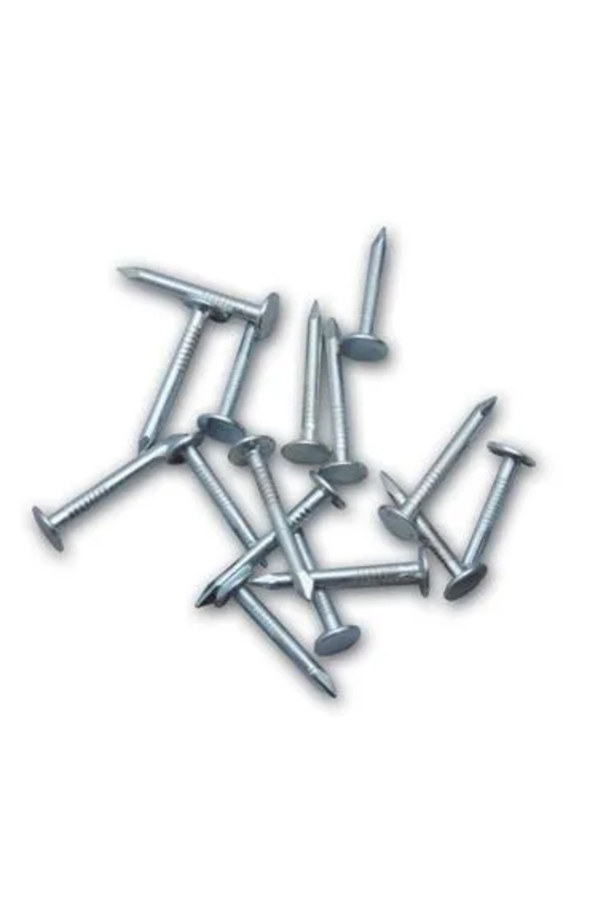 Edikli Store Şıngıl Çivisi 2,5 Kg