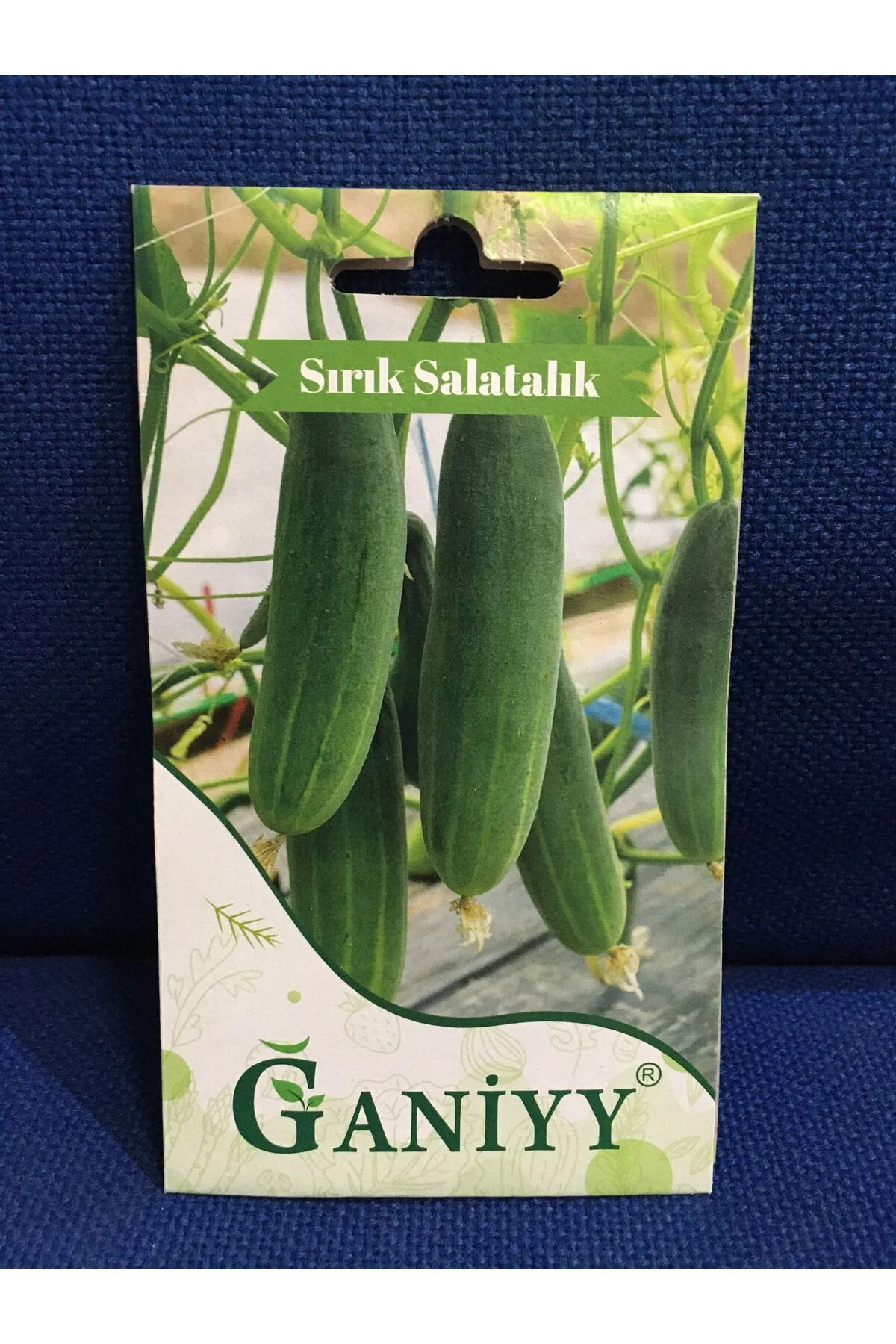 Sırık Salatalık Tohumu 5 gr