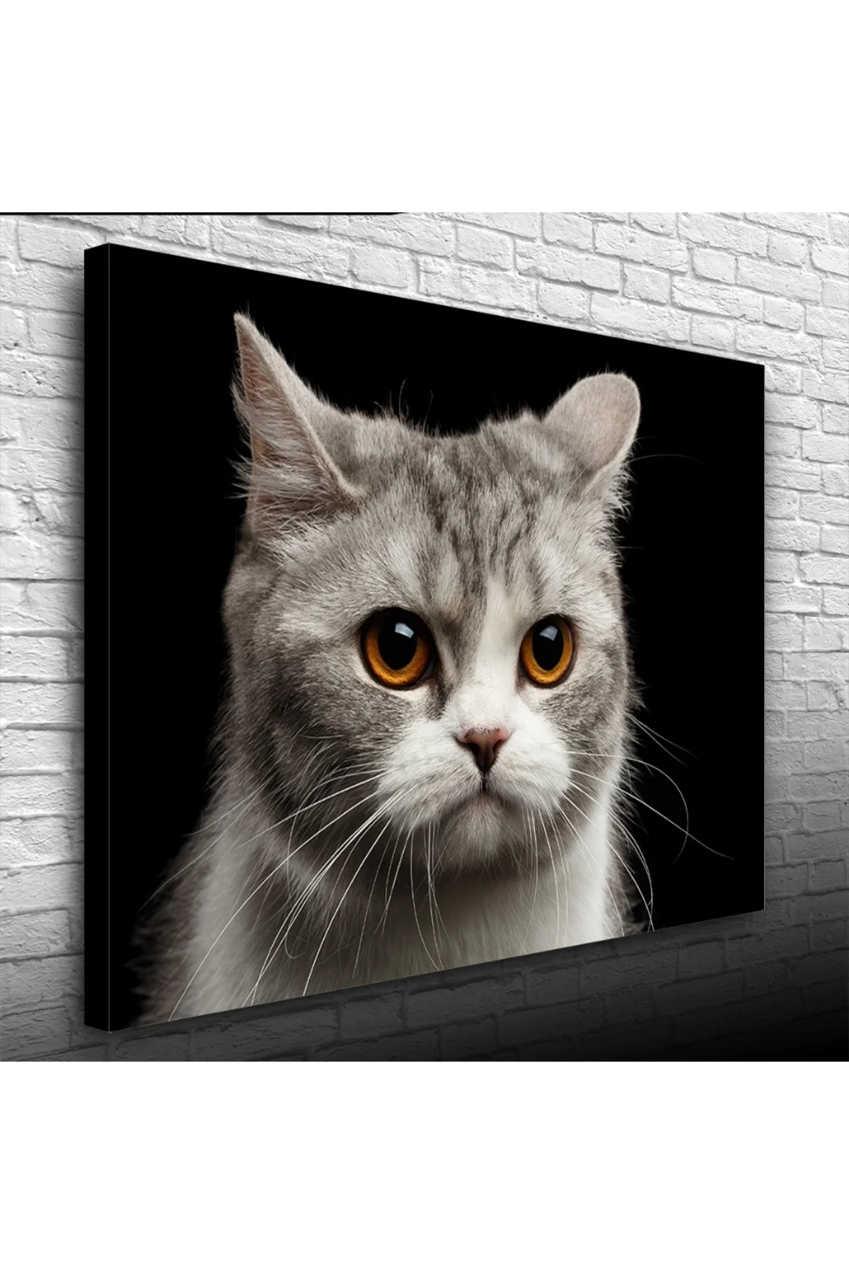 Şirin Gri Kedi Kanvas Tablo 50 x 70