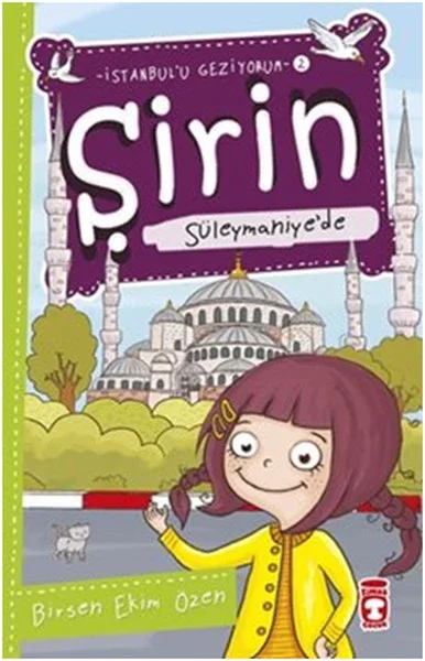 Şirin İstanbul'u Geziyorum - 02 Süleymaniye'de Fiyatı, Yorumları ve Özellikleri