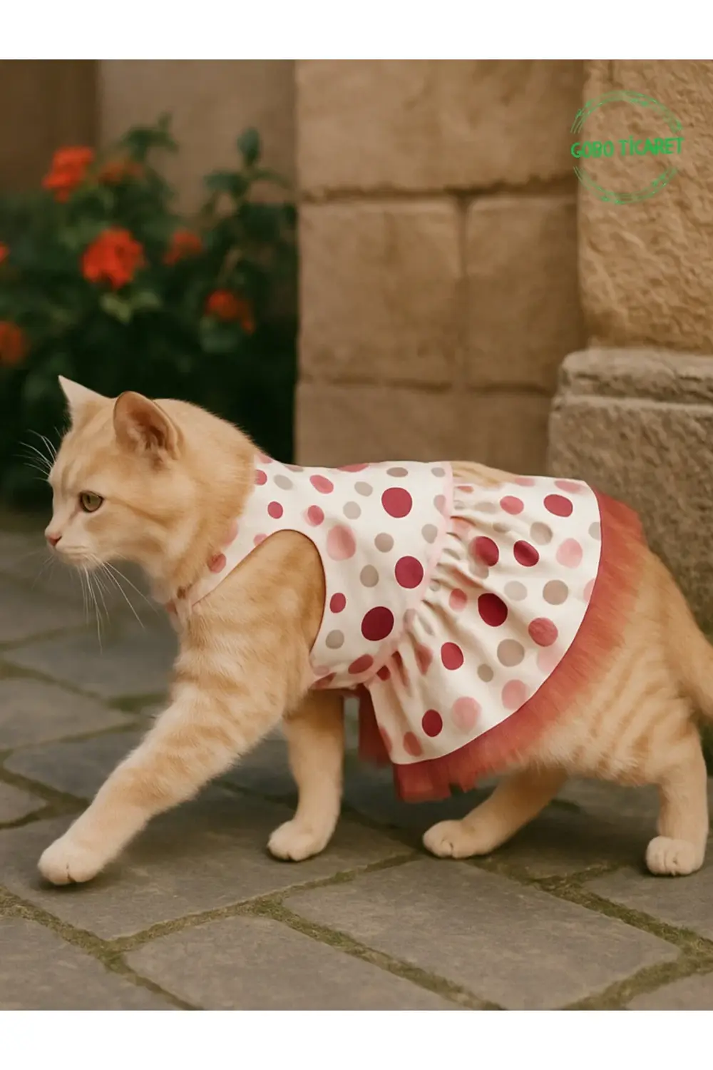 Şirin Puantiyeli Beyaz Kedi Köpek Kıyafeti Elbisesi Fuşya Fiyonkl