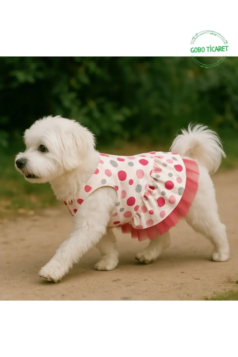 Şirin Puantiyeli Beyaz Kedi Köpek Kıyafeti Elbisesi Fuşya Fiyonkl