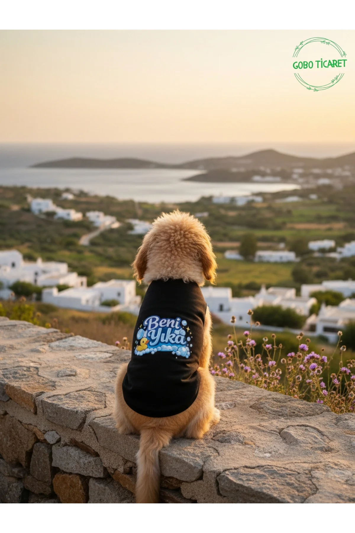Siyah Beni Yıka Baskılı Kedi ve Köpek Kıyafeti–Evcil Hayvan Tişör