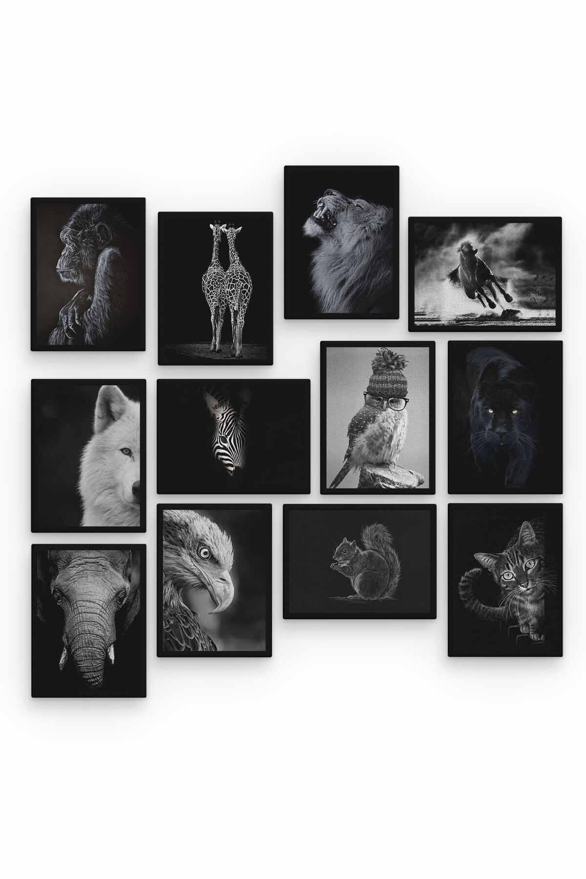 Siyah Beyaz Hayvanlar 12 Parça Ahşap Mdf Tablo Zlltb182