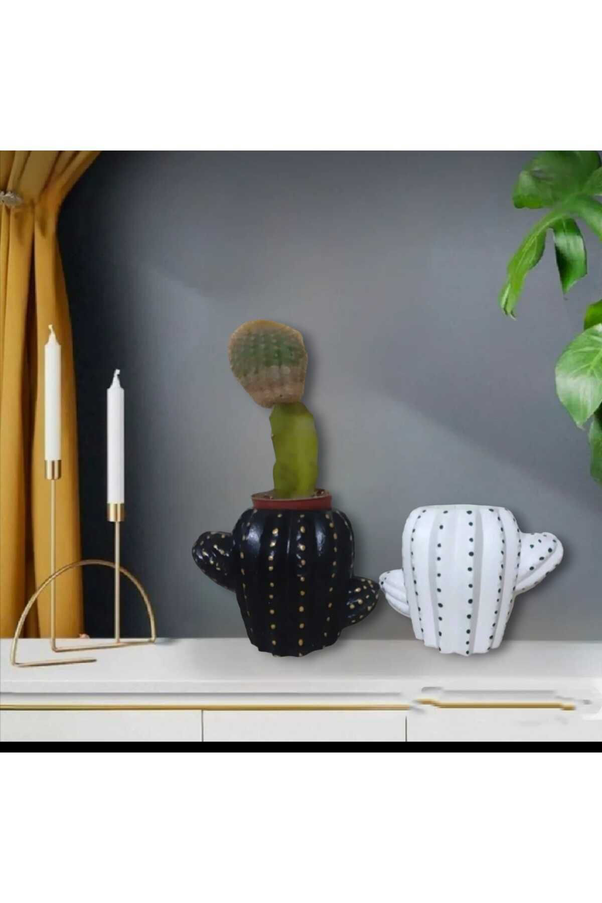 Dodemert Home Siyah- Beyaz Kaktüs Beton Saksı & Mumluk Dekoratif 2 Li