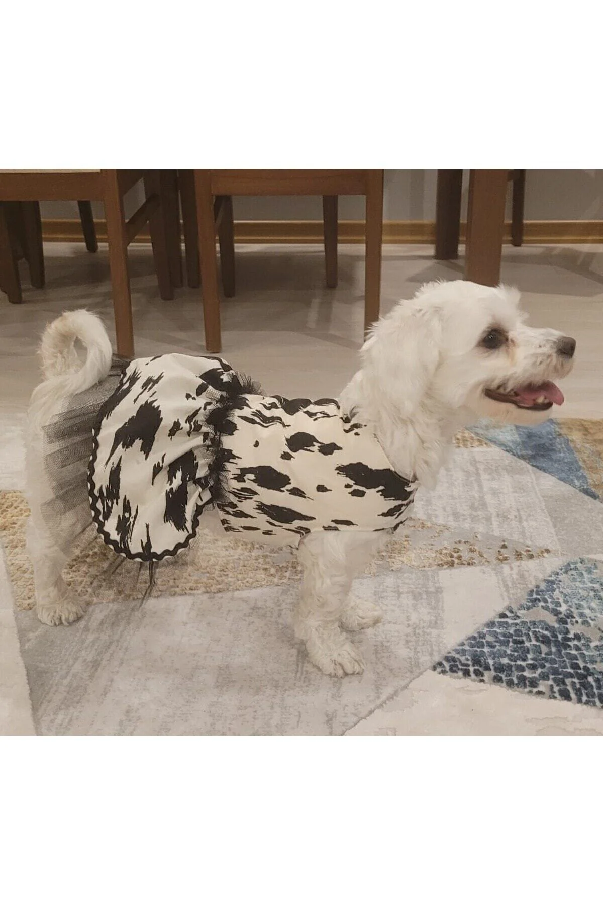Siyah Beyaz Leopar Desenli Tüllü Kedi Köpek Kıyafeti Elbisesi Sma