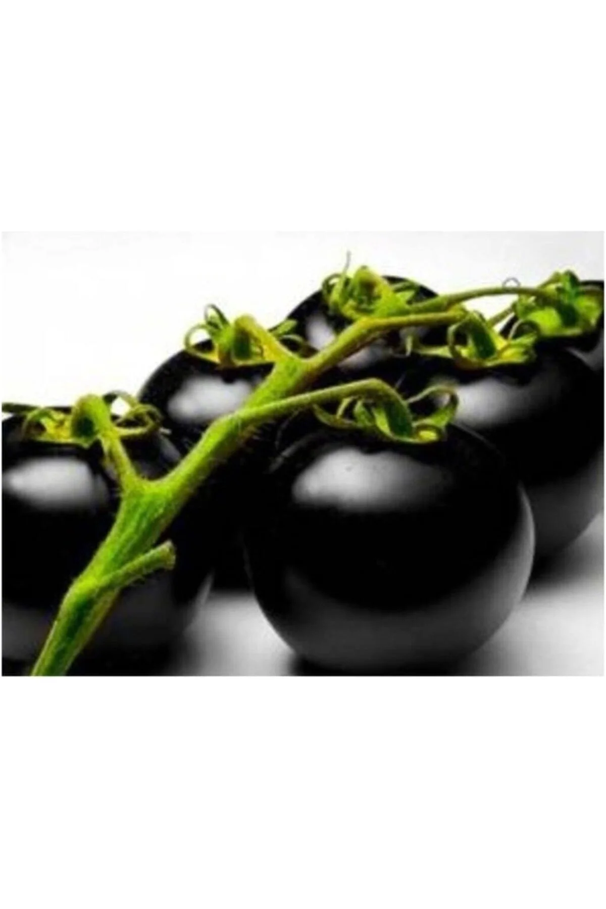 Siyah Domates Tohumu 20 Adet Tohum Black Tomato