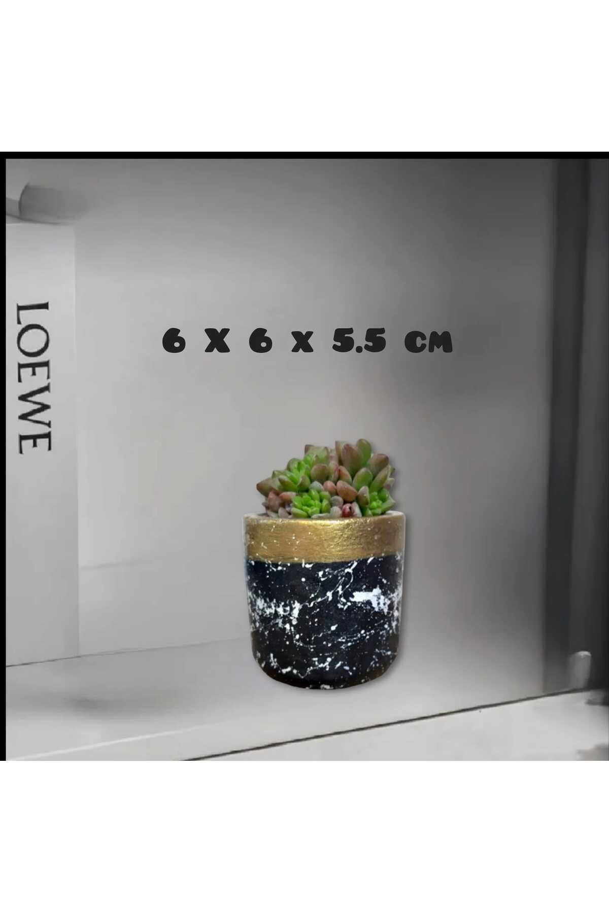 Dodemert Home Siyah Efektli Beton Saksı & Kalemlik & Mumluk