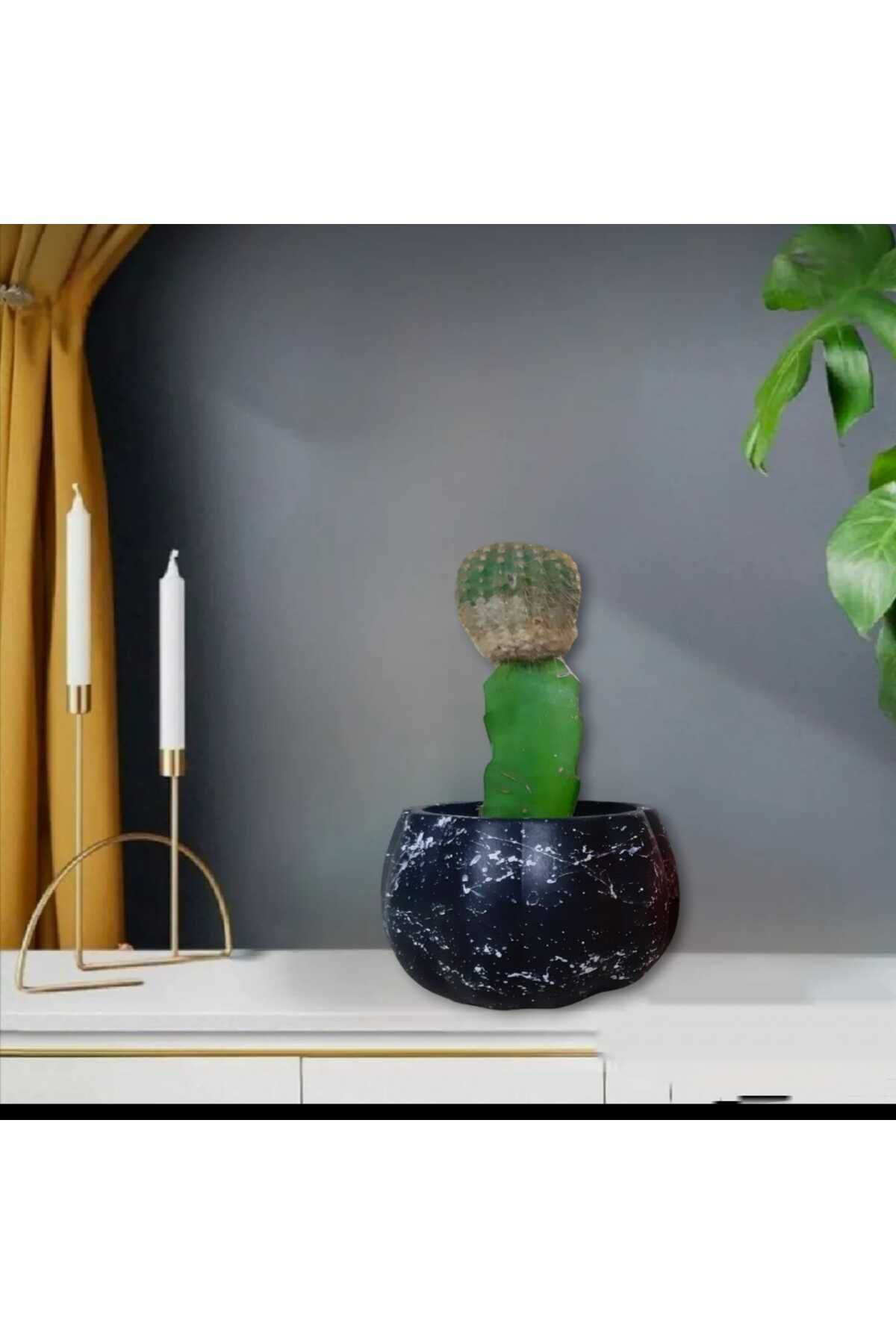 Siyah Efektli Kabak Beton Saksı & Mumluk Dekoratif