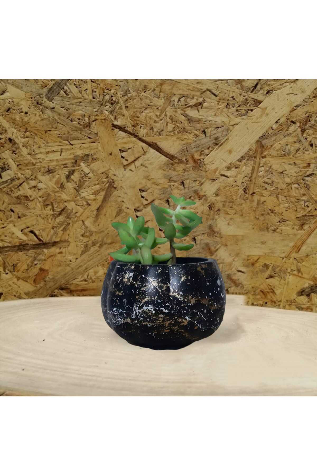 Dodemert Home Siyah Efektli Küçük Kabak Beton Saksı & Mumluk Dekoratif