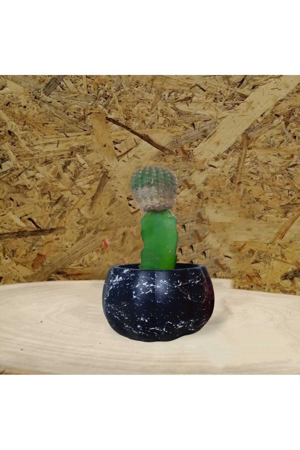 Siyah Efektli Kabak Beton Saksı & Mumluk Dekoratif