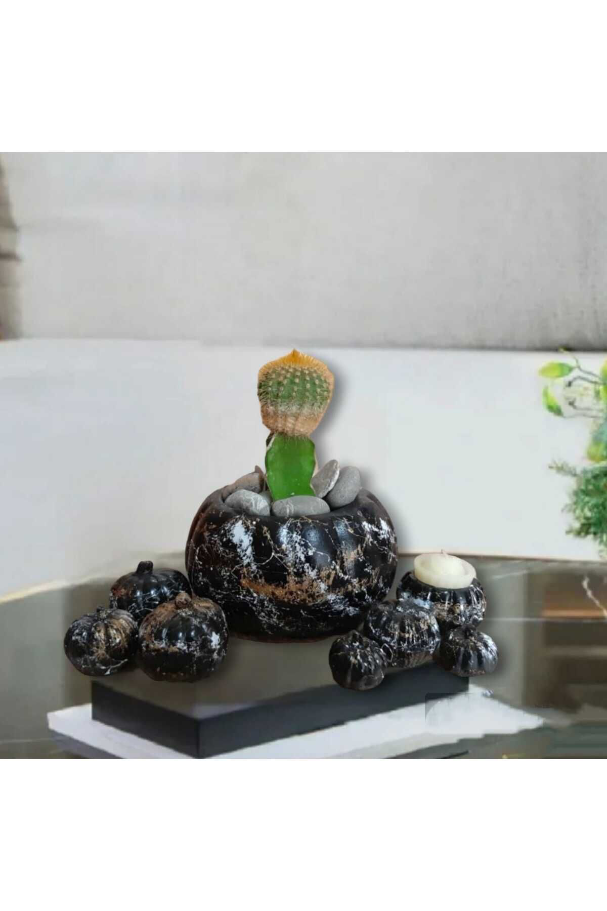 Dodemert Home Siyah Efektli Kabak Beton Saksı& Mumluk Dekoratif