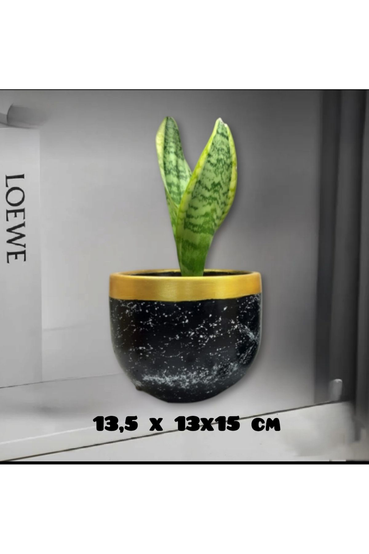 Dodemert Home Siyah Efektli Tasarım Beton Saksı