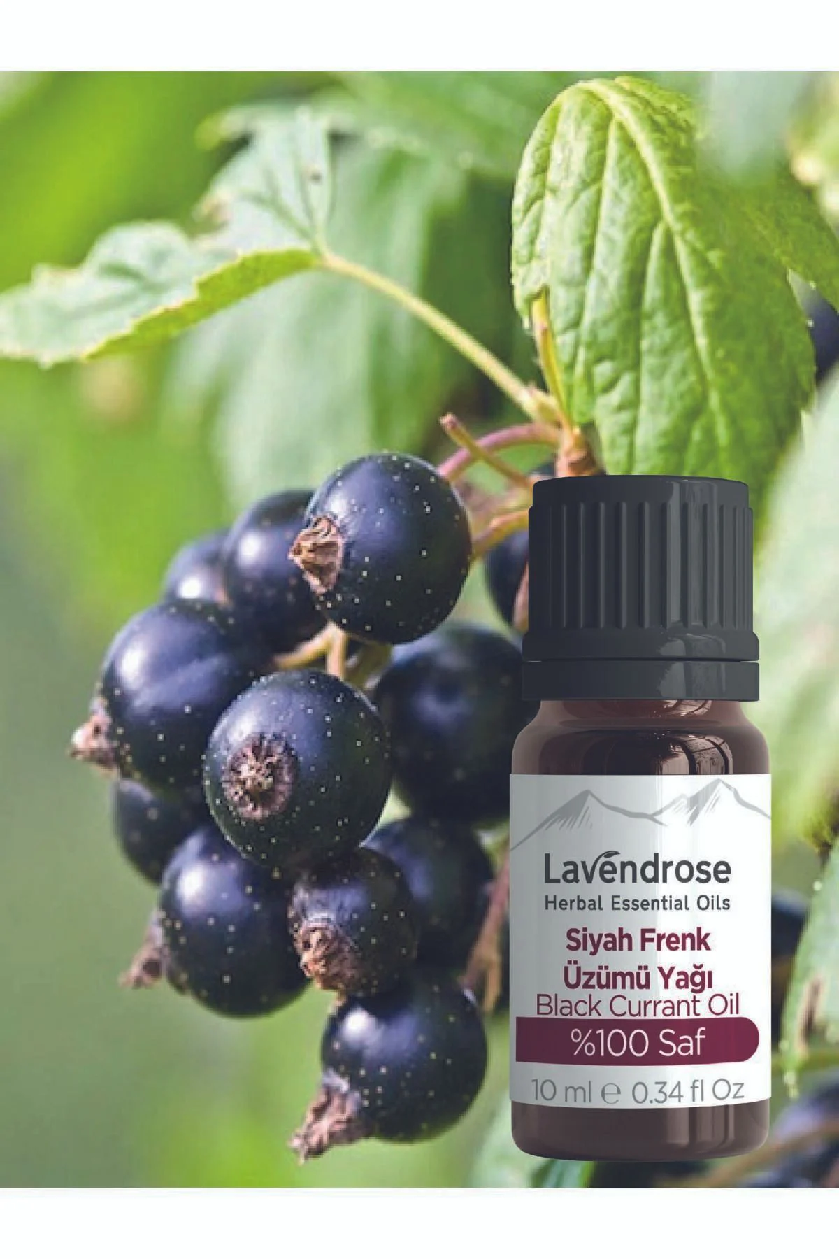 Siyah Frenk Üzümü Çekirdeği Yağı 10 ml %100 Doğal Omega 6 Yağı
