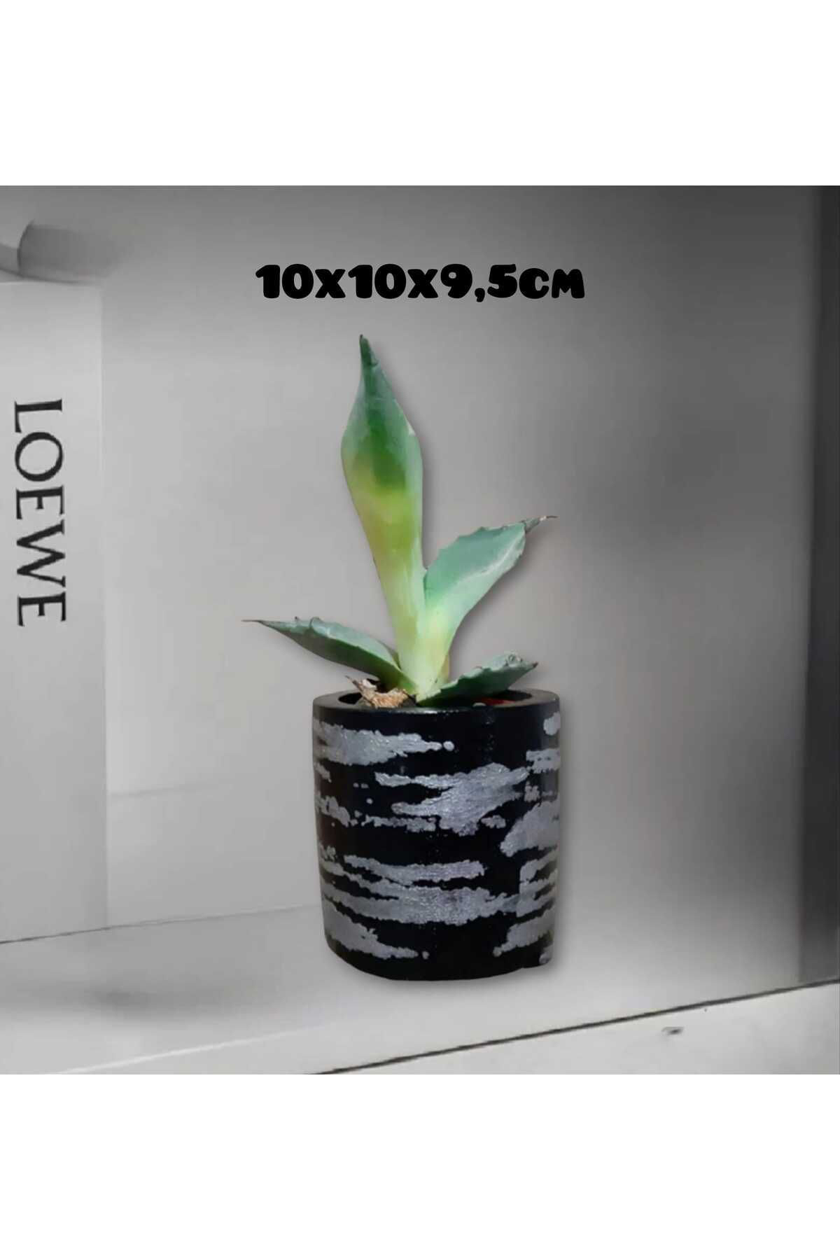 Dodemert Home Siyah Gümüş Tasarım Beton Saksı & Kalemlik