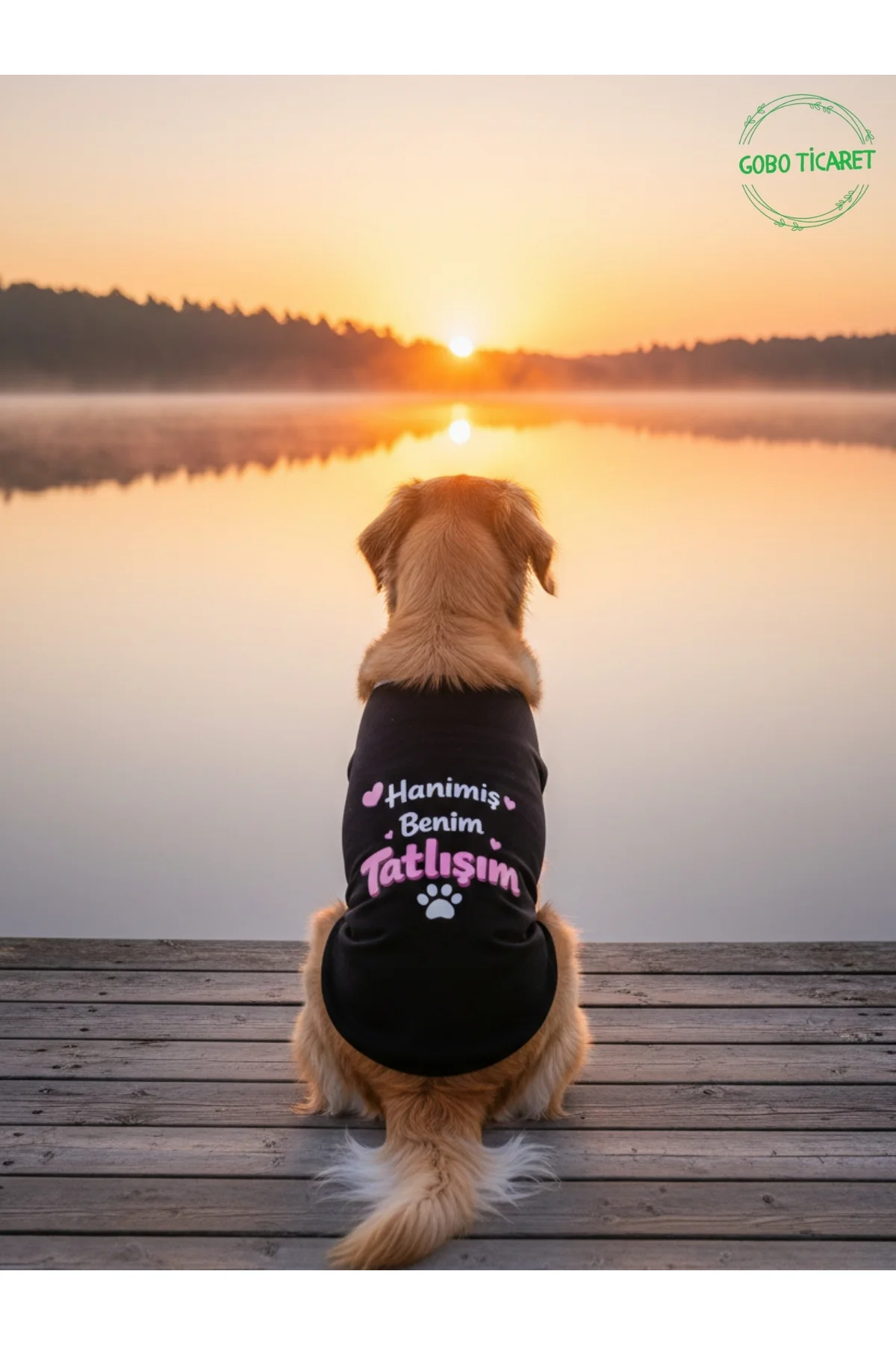 Siyah Hanimiş Benim Tatlışım Baskılı Kedi ve Köpek Kıyafeti Tişörtü Elbisesi SMALL/S/Beden 1