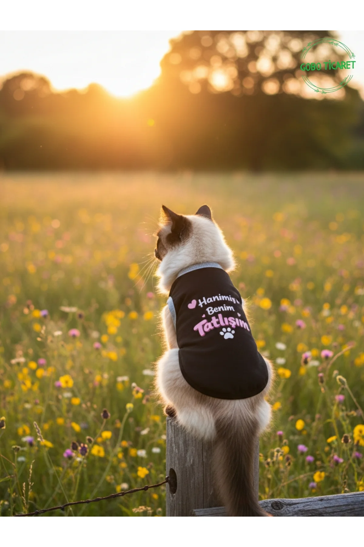 Siyah Hanimiş Benim Tatlışım Baskılı Kedi ve Köpek Kıyafeti Tişörtü Elbisesi Medium/M/Beden 2