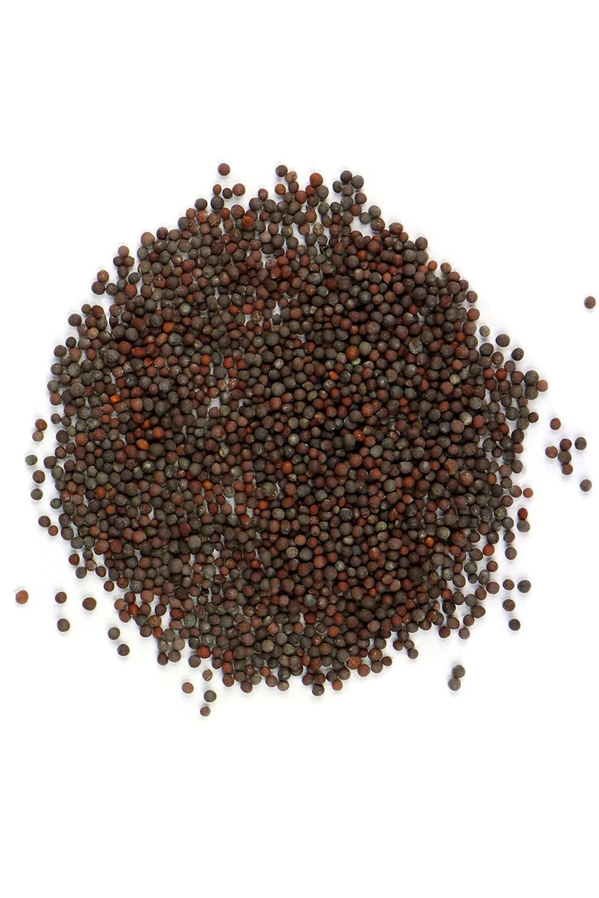 Siyah Hardal Tohumu 50gr Siyah Hardal Tohumu 50gr