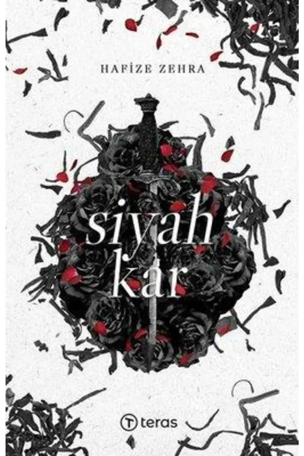 Siyah Kar (karton Kapak)