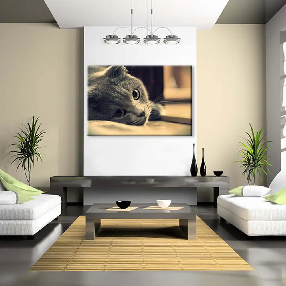 Siyah Kedi Kanvas Tablo Siyah Kedi Kanvas Tablo