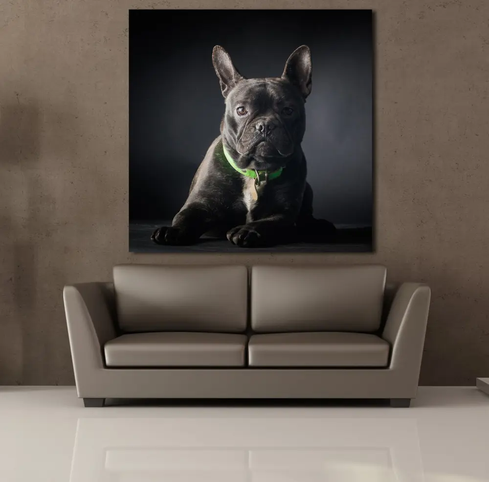 SİYAH KÖPEK KANVAS TABLO