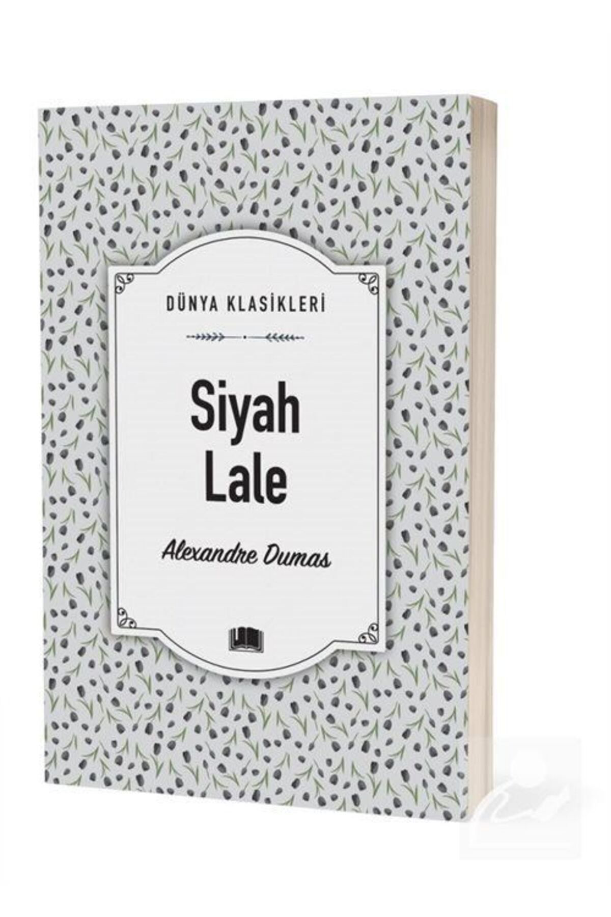 Ema Kitap Siyah Lale / Dünya Klasikleri