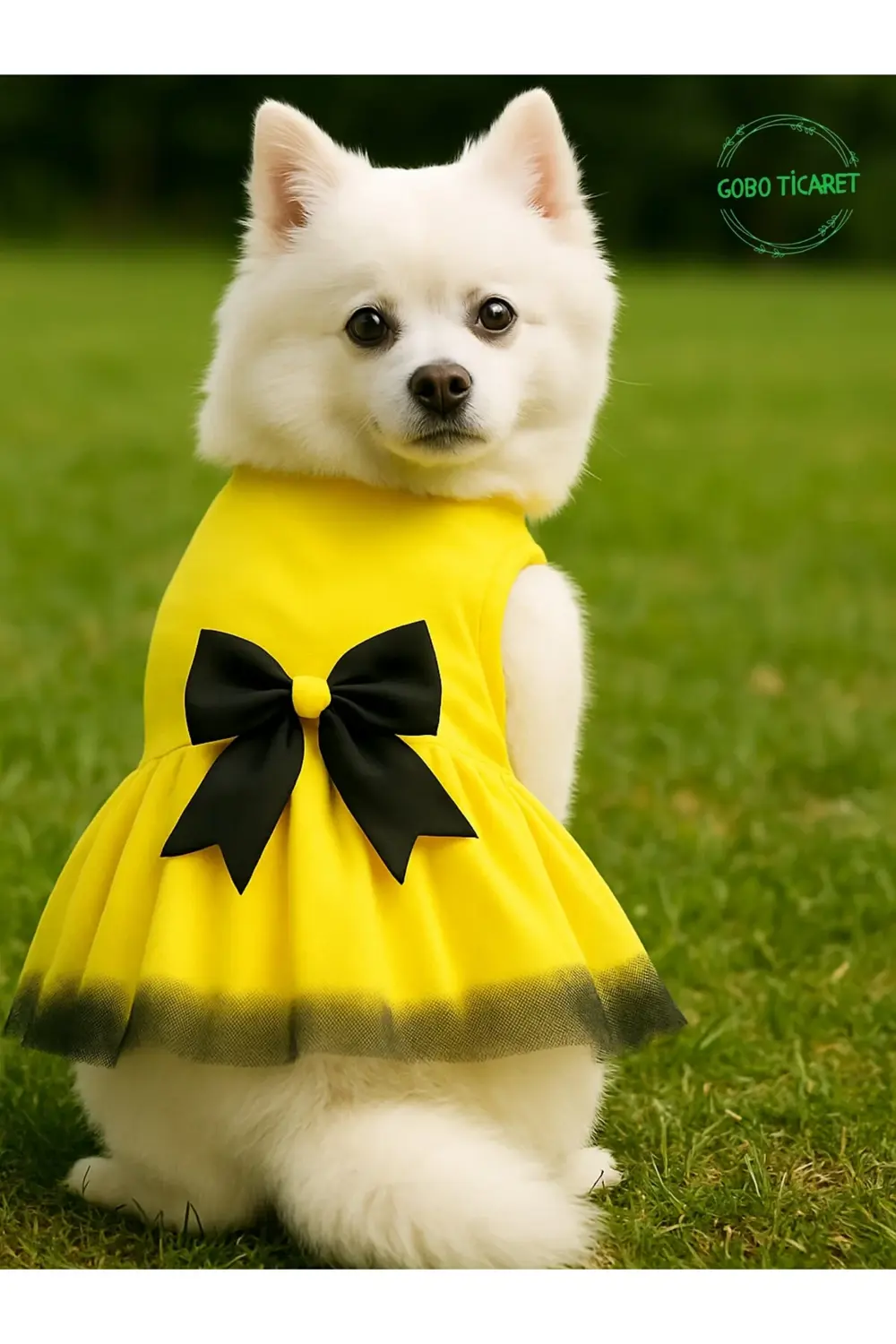 Siyah Papyonlu Sarı Tüllü Kedi Köpek Kıyafeti Elbisesi Large/L/Be