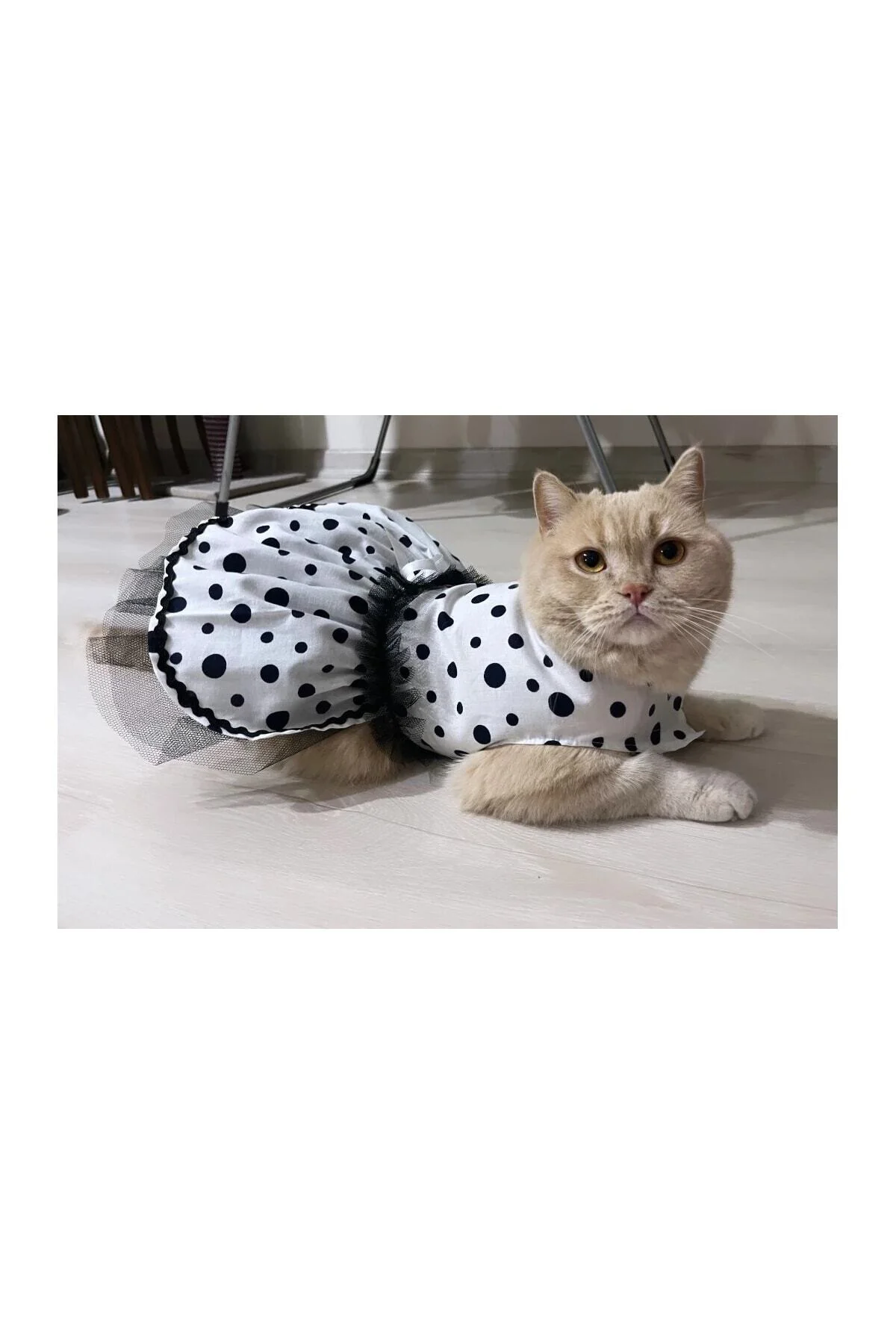 Siyah Puantiyeli Beyaz Dişi Kedi Köpek Kıyafeti Elbisesi